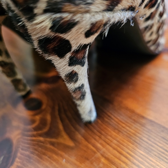 Gorgeous animal print pony ankle boots. Size 8. - Picture 6 of 8